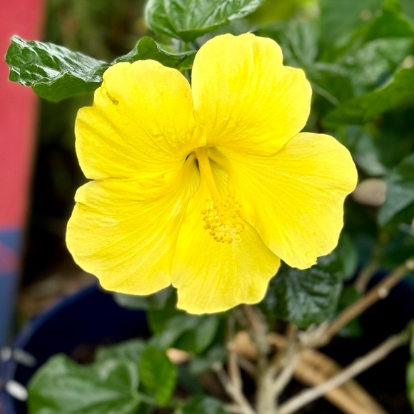 Meet your Posher, Renea! - Picture 9 of 15